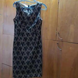 Elegant fitted cocktail dress nude & black lace